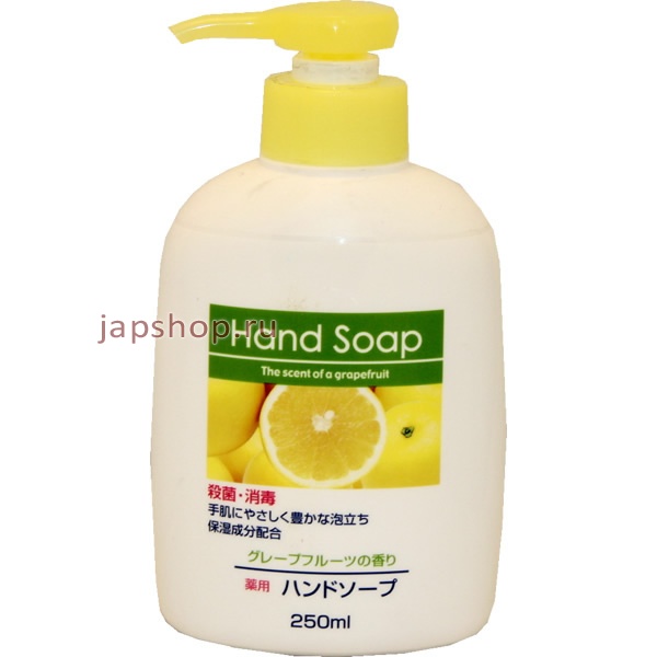    , 556239 Daiichi HAND SOAP      250
